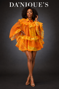 Dress Sheer Ruffled Mini Button Up Long Sleeve
