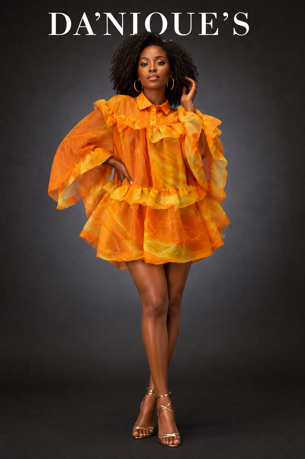 Dress Sheer Ruffled Mini Button Up Long Sleeve